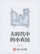 大时代中的小农民